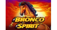 Bronco spirit