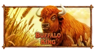 Buffalo King